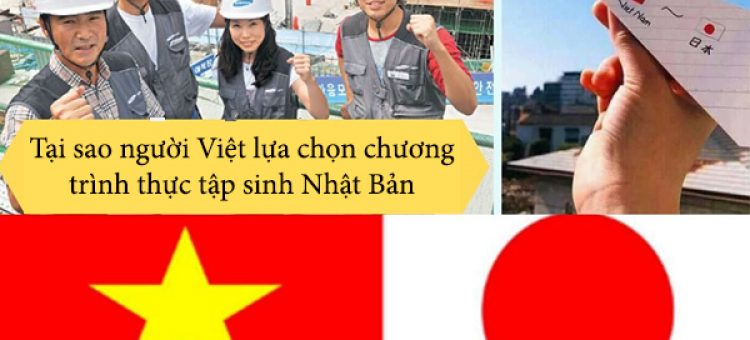 Tại Sao Người Việt Lựa Chọn Chương Trình Thực Tập Sinh Nhật Bản